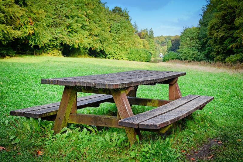Picnic Place In Forest Royalty Free Stock Images Image 34919179