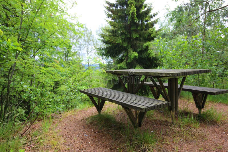 Picnic place in forest stock photo. Image of chair, seat - 70671774