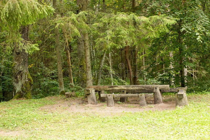 Picnic Place in the Green Forest Stock Photo - Image of table, place