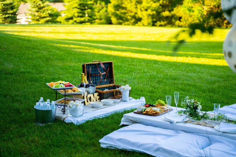 Picnic Setup for Special Event Celebration on Meadow Editorial Photo Image of grass, daytime
