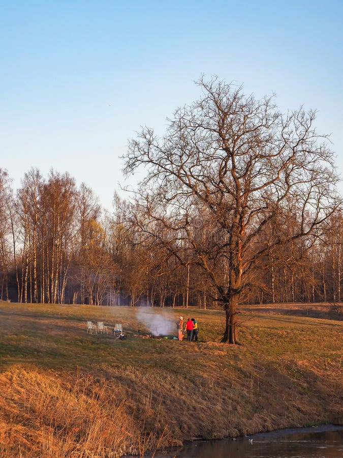Picnic sotto un grande albero al tramonto in primavera fotografie stock Picnic sotto un grande albero al tramonto in primavera fotografie stock