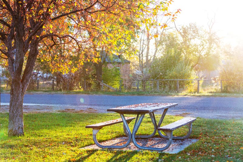 Picnic table stock image. Image of scenery, bench, lunch 92850029
