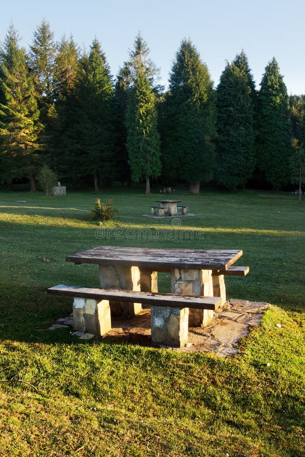 Picnic table on grass stock image. Image of stone, forest 31709051