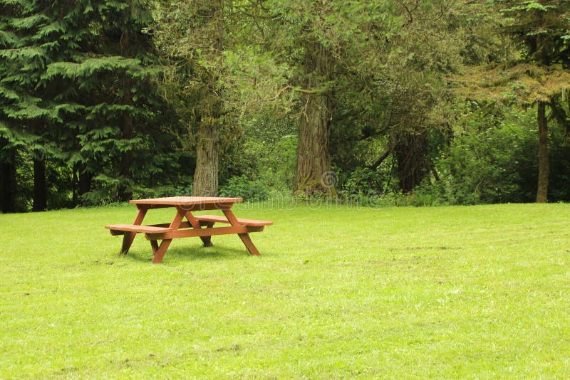 Picnic table green field stock photo. Image of park, site 54561836