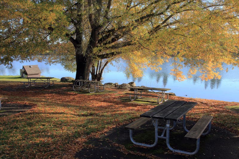 A Picnic Table Near A Lake. Stock Photo Image of picnic, leaves 16806344
