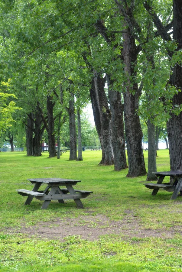 Picnic Tables Rows stock photo. Image of setting, shelter 20773394