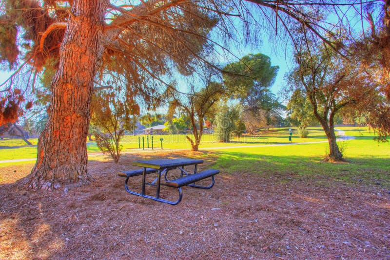 Picnic table at the park under the tree