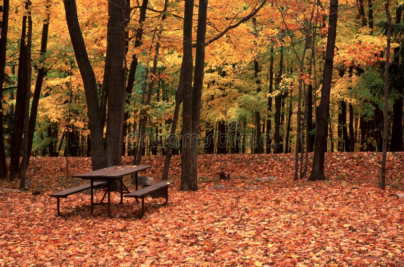 Picnic Table on Rib Mountain State Park, WI