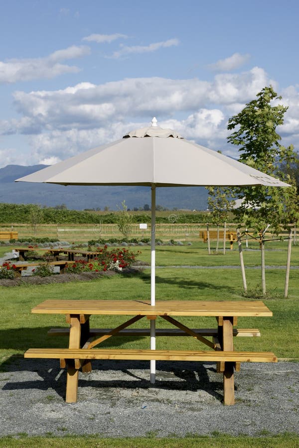 Picnic Table Umbrella stock image. Image of lunch, area - 16007745
