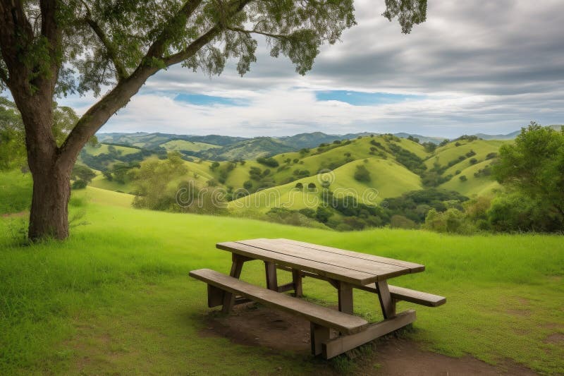 Picnic Table with View of Rolling Hills and Lush Greenery Stock Photo Image of leisure