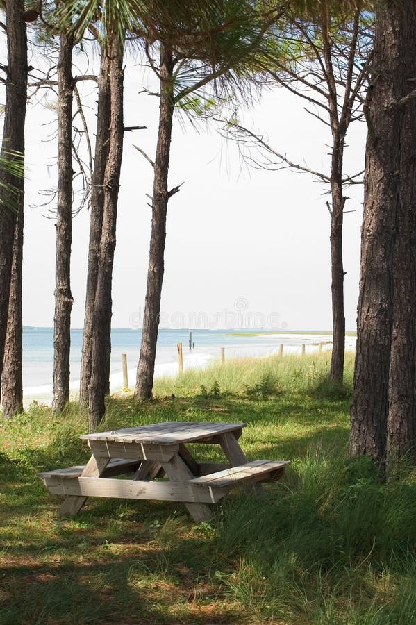 picnic επιφυλακής ακρωτηρίων περιοχής στοκ εικόνες picnic επιφυλακής ακρωτηρίων περιοχής στοκ εικόνες