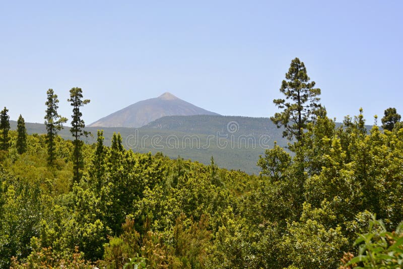 Pico de Teide, Tenerife, Canarische Eilanden, Spanje, Europa royalty-vrije stock afbeeldingen Pico de Teide, Tenerife, Canarische Eilanden, Spanje, Europa royalty-vrije stock afbeeldingen