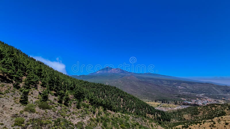 Pico verde canarian pine tree-skog med panoramavik på vulcano pico del teide tenerife spain. arkivbild
