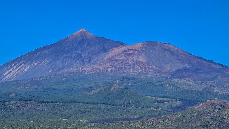Pico verde canarian pine tree-skog med panoramavik på vulcano pico del teide tenerife spain. fotografering för bildbyråer