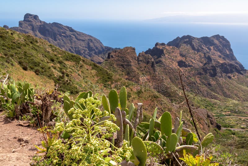 Pico verde kustvandringsspil till masca på tenobergsmassivet tenerife canary Islands spain europe. fotografering för bildbyråer