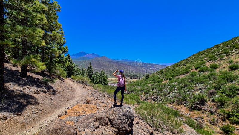 Pico verde-kvinna med scenvy på vulcano pico del teide omgiven av kanariska pinjeträdsskogens teno-bergtenerife royaltyfri foto