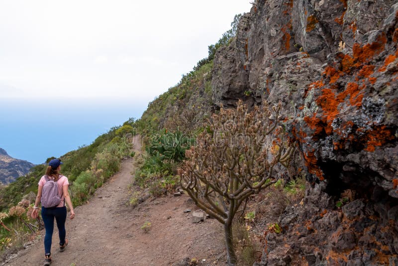 Pico verde-kvinna på vandringsspåret längs en brant klippning i teno bergsspännvidden. lichen på rock arkivbild