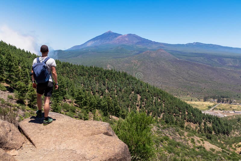 Pico verde man med scenvy på vulcano pico del teide omgiven av kanariska pinjeträdsskogteno bergstenerife royaltyfria bilder