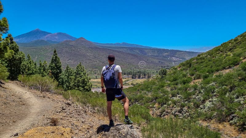 Pico verde man med scenvy på vulcano pico del teide omgiven av kanariska pinjeträdsskogteno bergstenerife royaltyfri bild