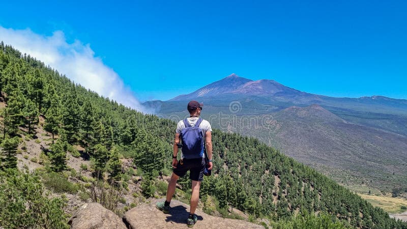 Pico verde man med scenvy på vulcano pico del teide omgiven av kanariska pinjeträdsskogteno bergstenerife arkivfoto