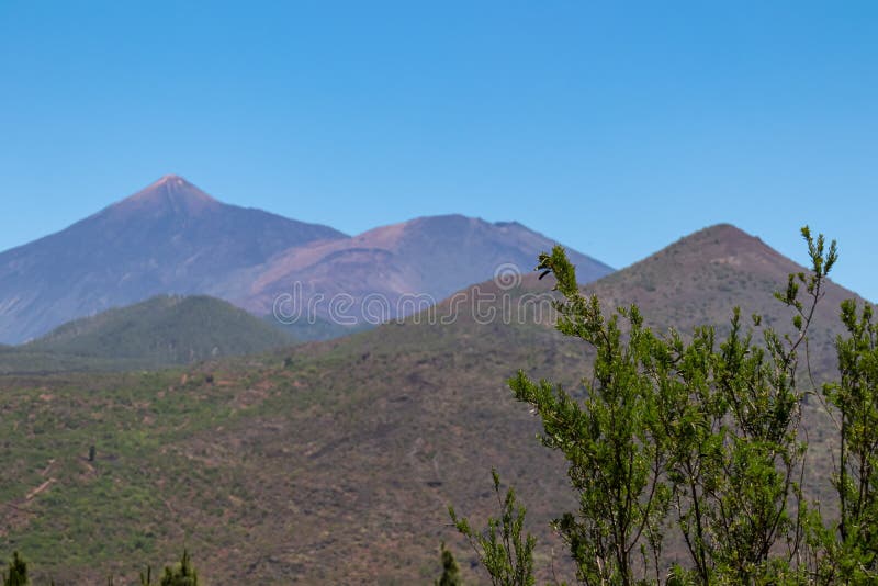 Pico verde scenvy över gröna kullar och toppmötet pico del teide som ses från byn Masca i bergsområdet teno. arkivfoton