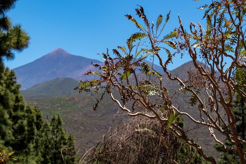 Pico verde scenvy över gröna kullar och toppmötet pico del teide som ses från byn Masca i bergsområdet teno. arkivfoton