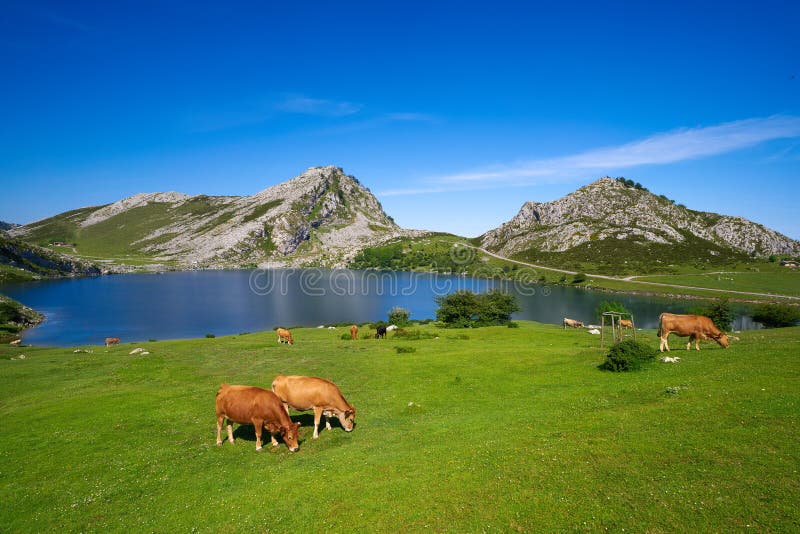 Picos de Europa Enol lake in Asturias Spain