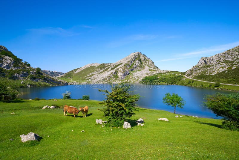 Picos de Europa Enol lake in Asturias Spain