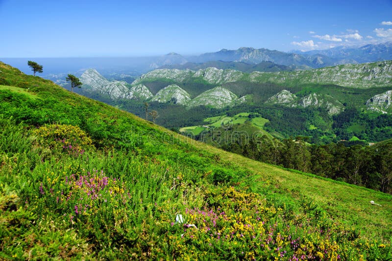 Mountain landscape in the Picos de Europa national park, Asturias