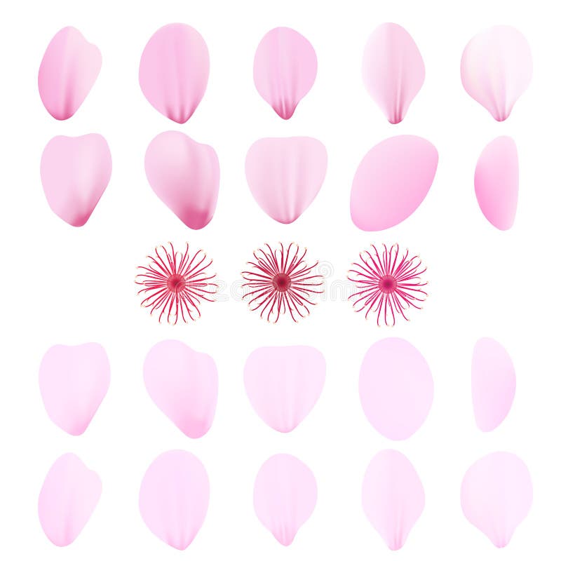 Pictogram voor realistische roze sakura-petals Cherry-blaadjes