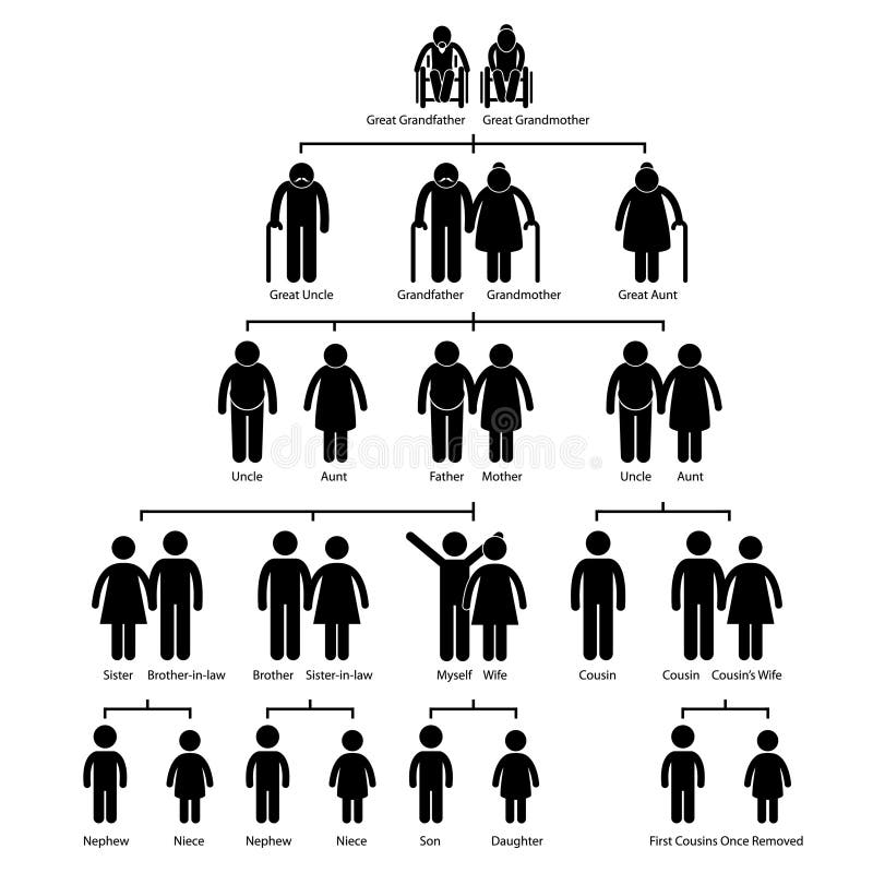 Pictograma do diagrama da árvore genealógica da árvore genealógica