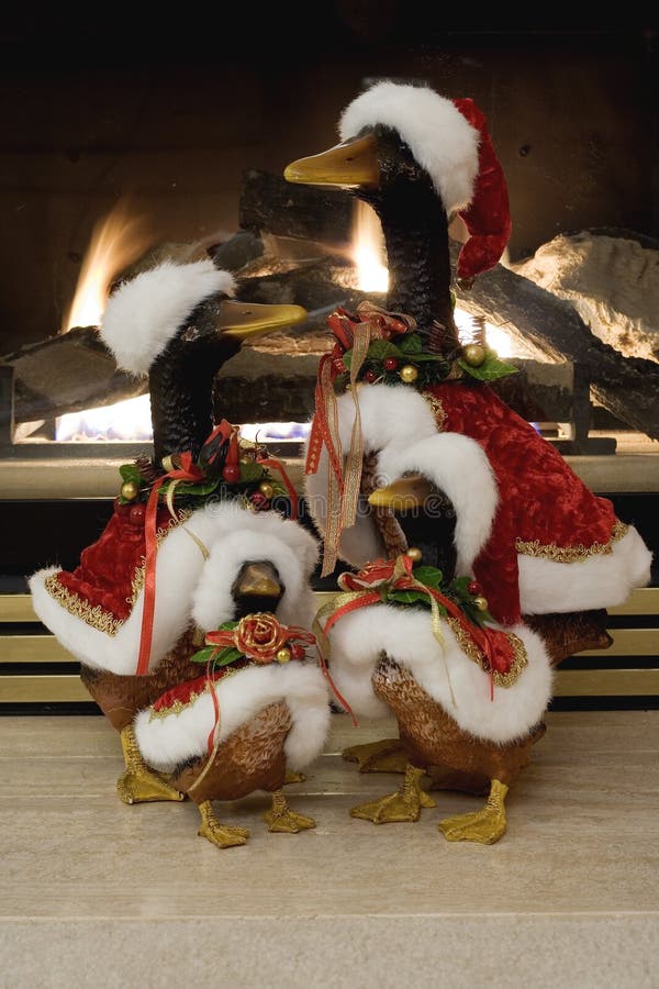 Picture of Christmas Ducks stock image. Image of lights 1535383