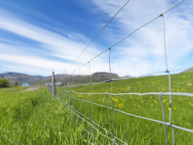 Picture of a fence with shallow depth of field