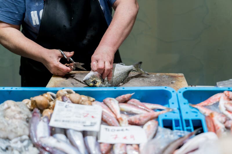 Fishmonger Hands Cleaning Fish in Her Fish Shop. Stock Photo Image of