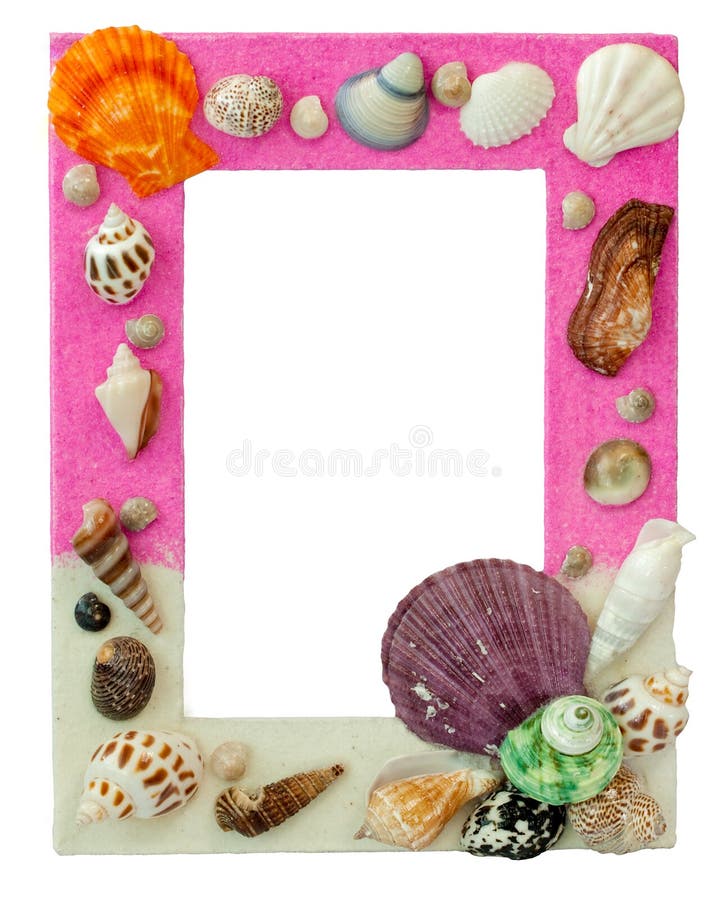Picture frame which decorated by sea shell. Bivalve shell stock images, royalty-free photos and pictures