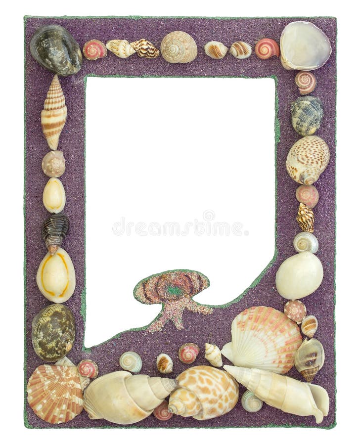 Picture frame with seashell isolated on white