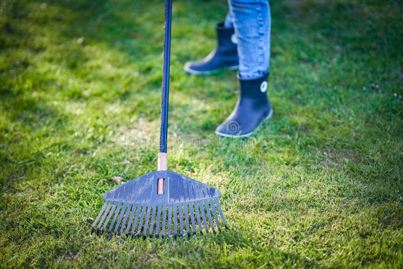 Picture of Grass Rake in the Garden Stock Photo - Image of work, yard ...