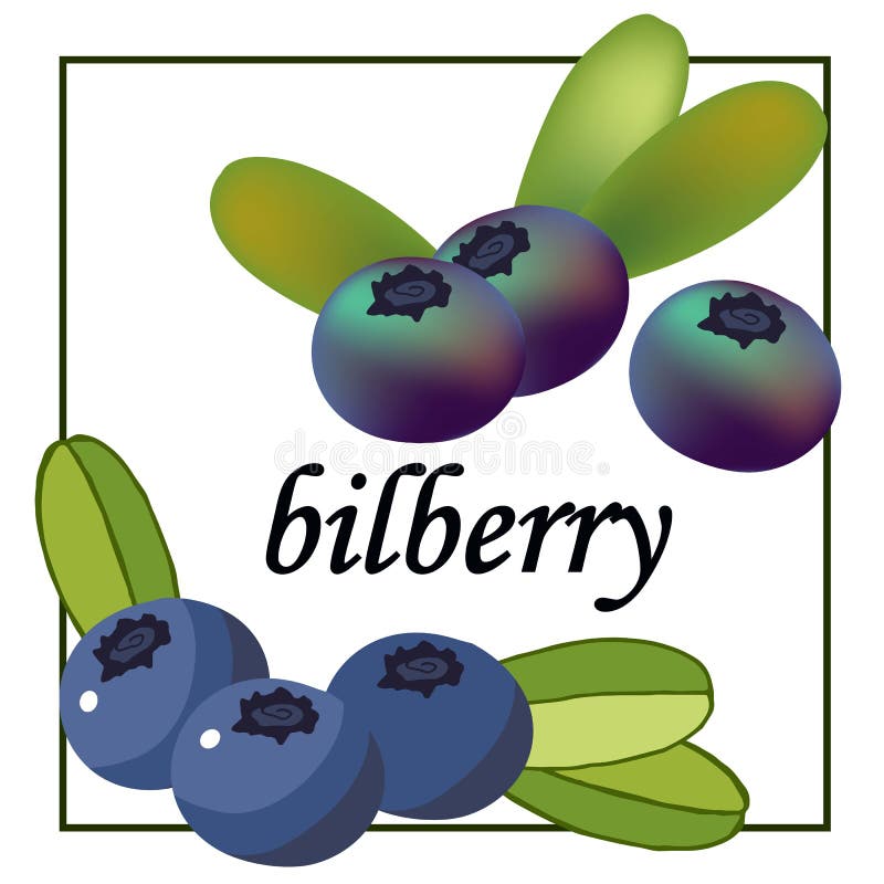 Rattled Stock Illustrations 16 Rattled Stock Illustrations, Vectors