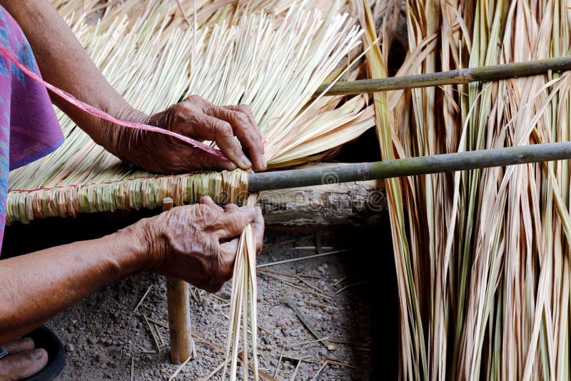 Picture Shows How To Make a Panel Vetiver for Hut Roof, Handwork Crafts ...