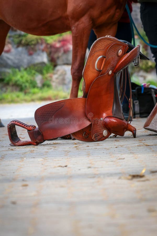 The picture shows a western saddle that was placed by the rider next to his horse, brown saddle with brown horse in the background. The picture shows a western saddle that was placed by the rider next to his horse, brown saddle with brown horse in the background