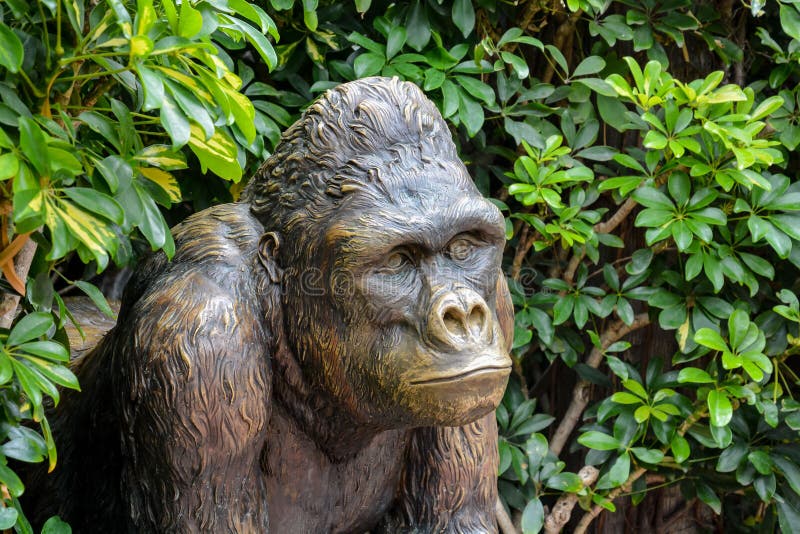 Statue of Strong Gorilla stock photo. Image of male - 105825318