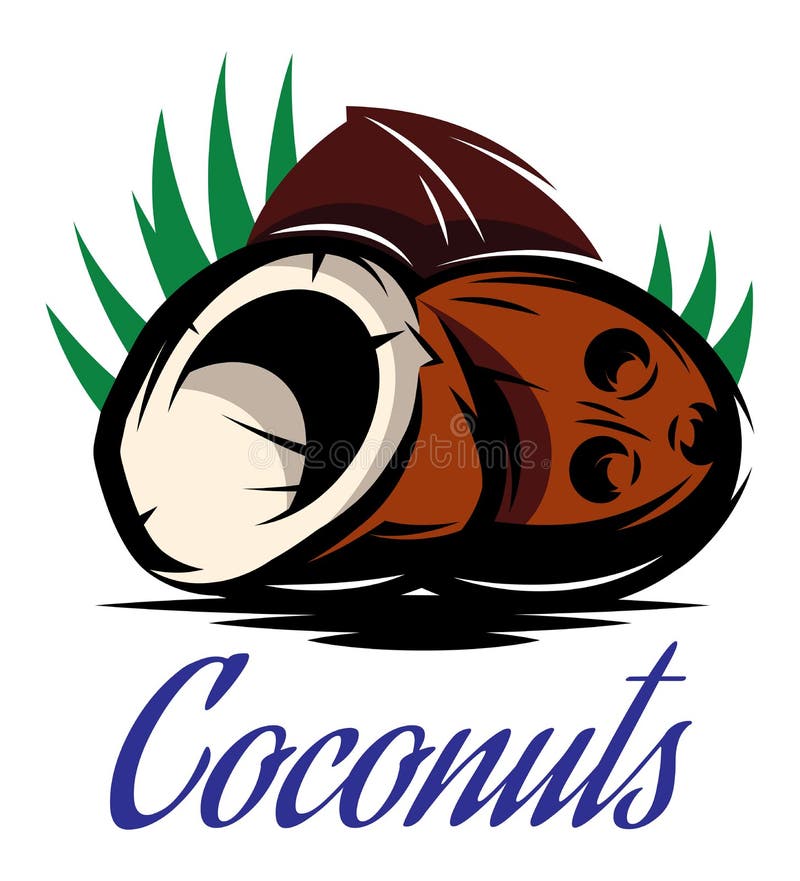 Broken coconuts stock vector. Illustration of hairy, coco 22439408