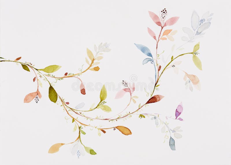 Picture water colour, hand draw, flowers, leaves, branches, ivy