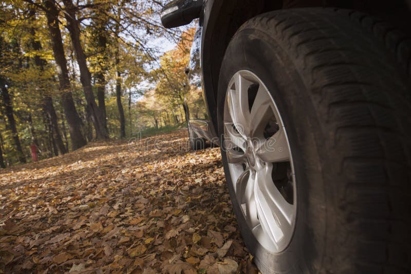 Picture of wheel of car parked in forest royalty free stock photography Picture of wheel of car parked in forest royalty free stock photography