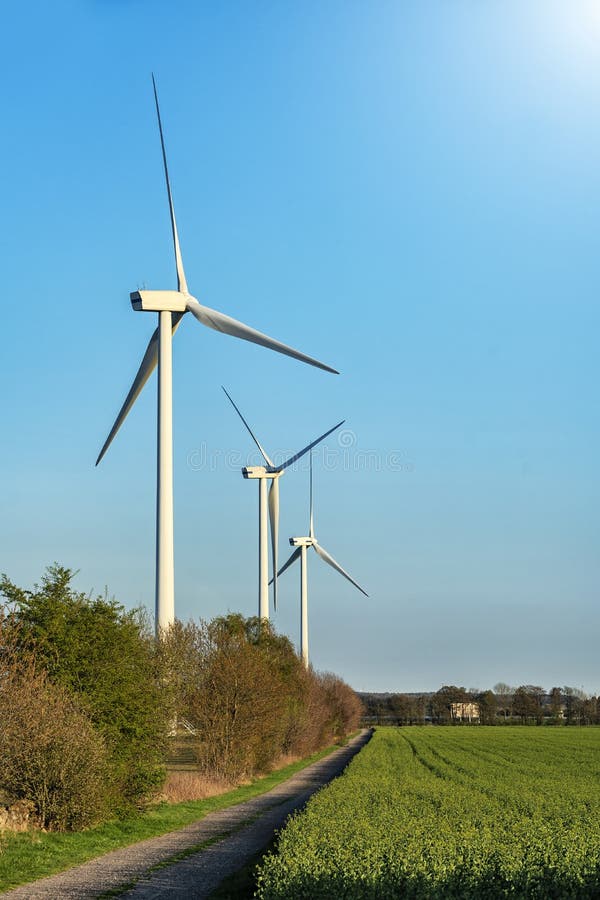 Picture of wind farm generators in the green field.