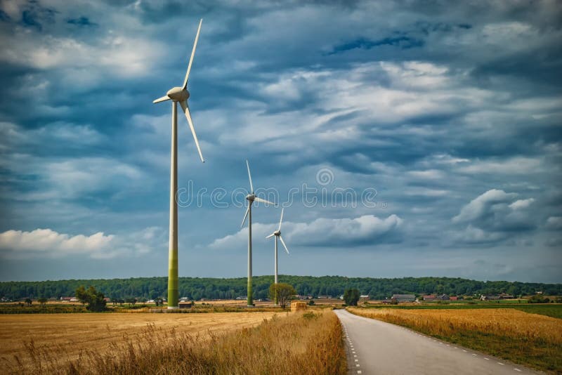 Picture of wind farm generators in the yellow field.