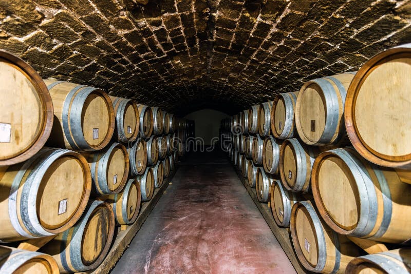 Picture of Wooden Wine Barrels in the Wine Cellar Stock Photo Image