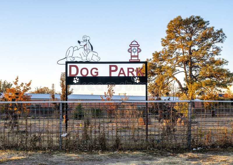 Public dog park in Marfa, Texas.