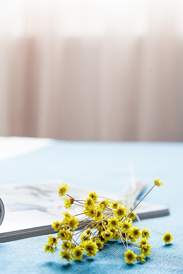 Pictures of Local Accessories in Interior Space Stock Image Image of