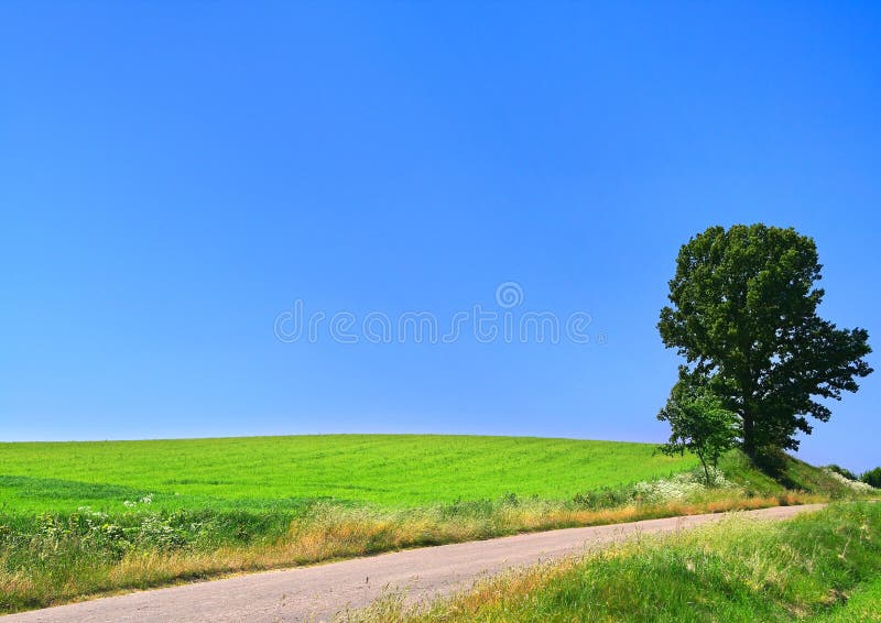 Picturesque country road and lone tree stock images